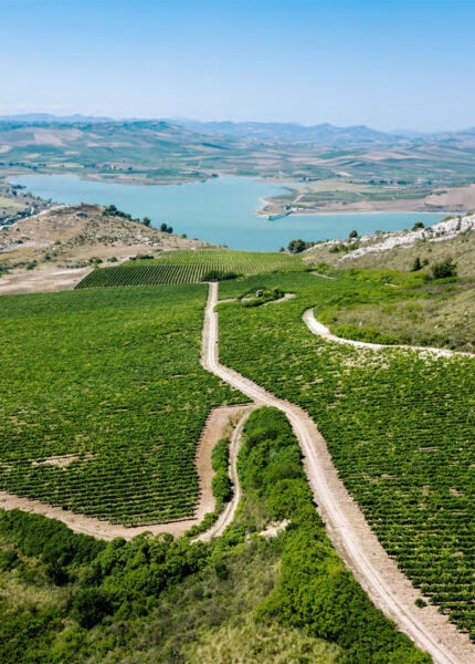 Menfi città del vino