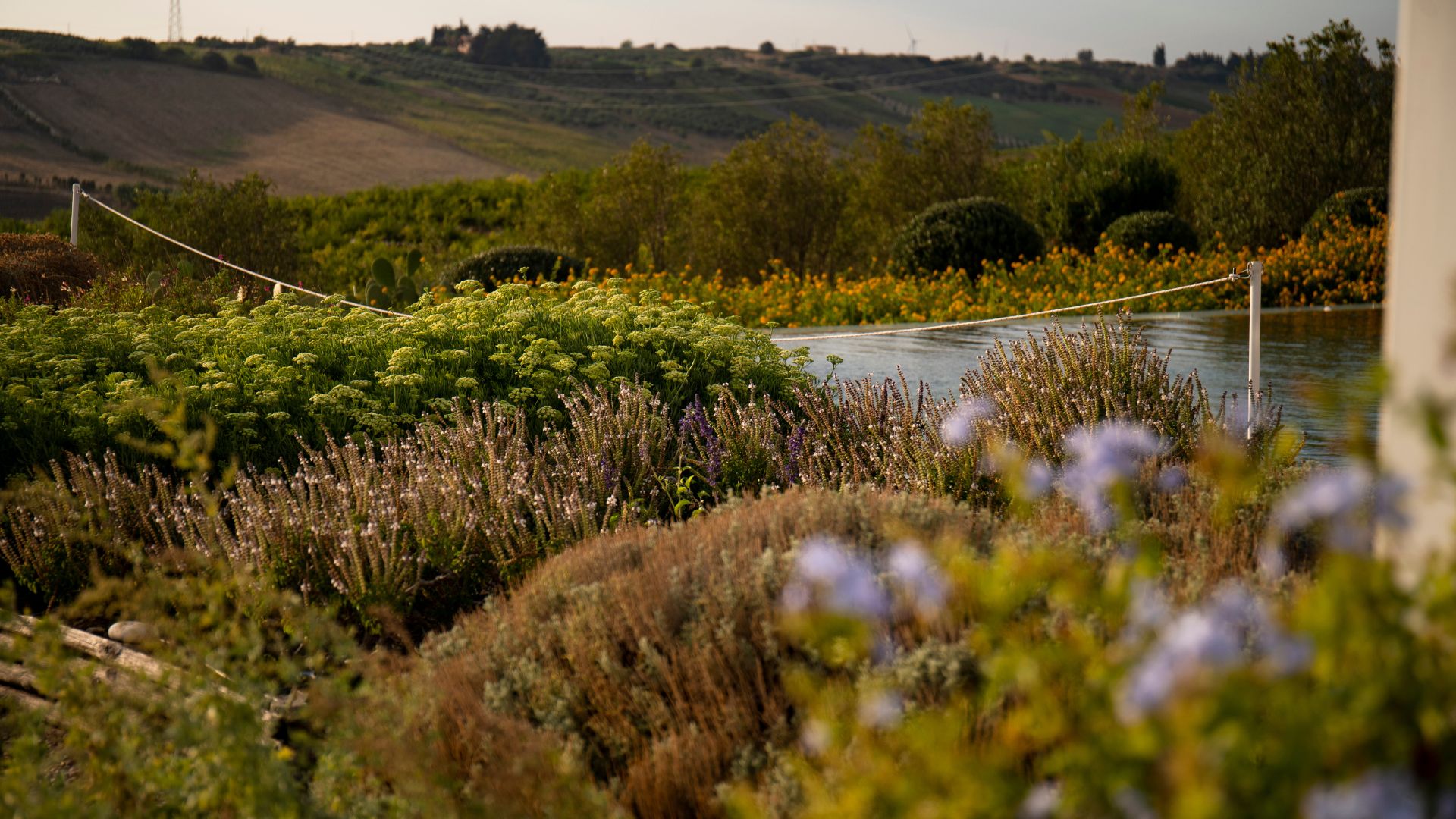 la-foresteria-giardino-piscina-esterni-ecoluxury